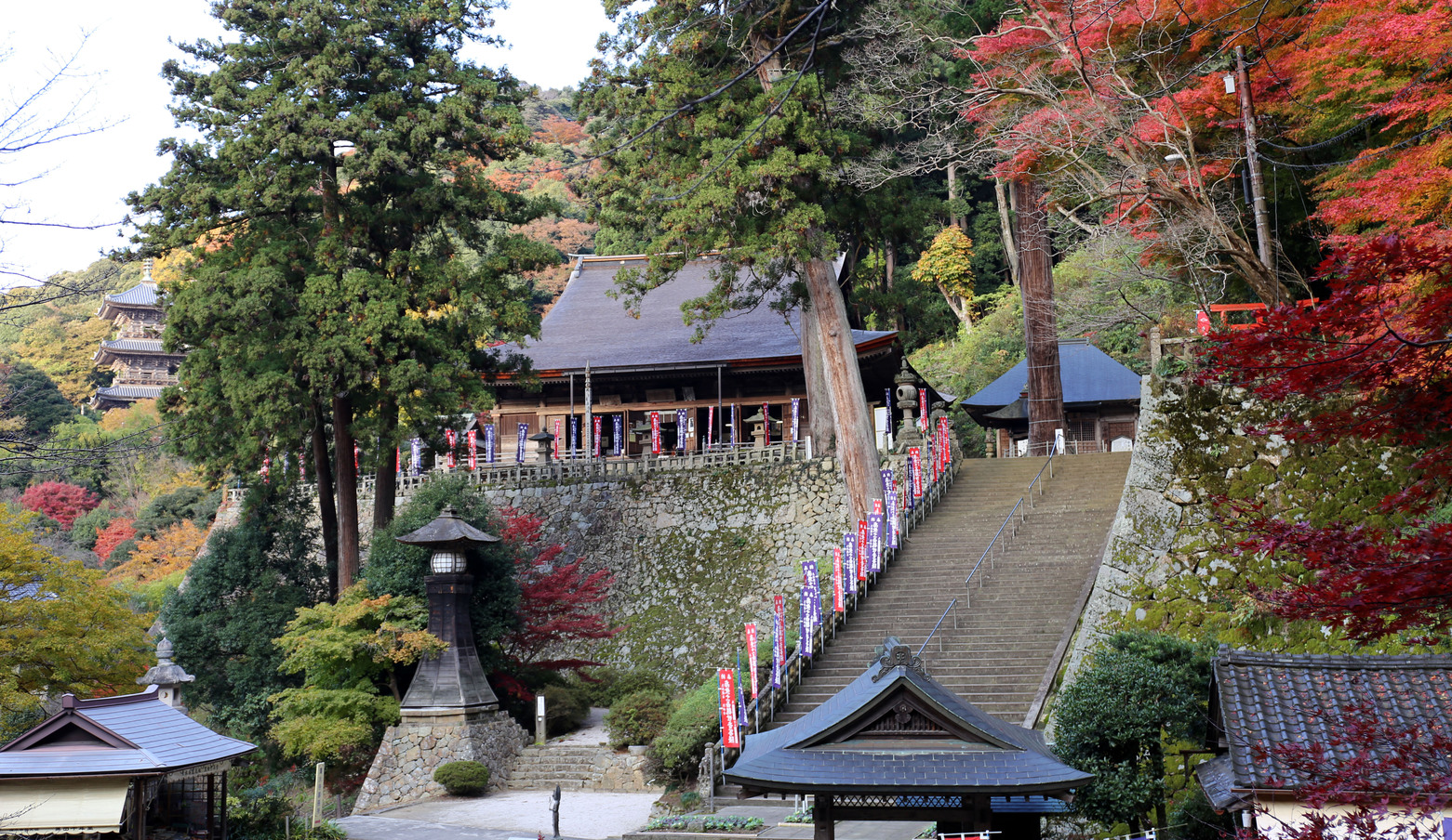 清水寺境内全景（秋）