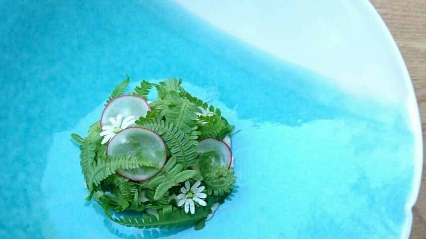 コゴミとハコベのお料理