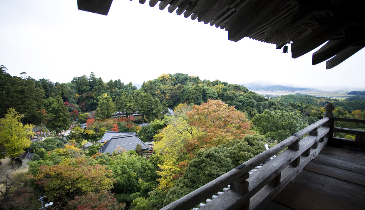 三重の塔３階層からの眺め