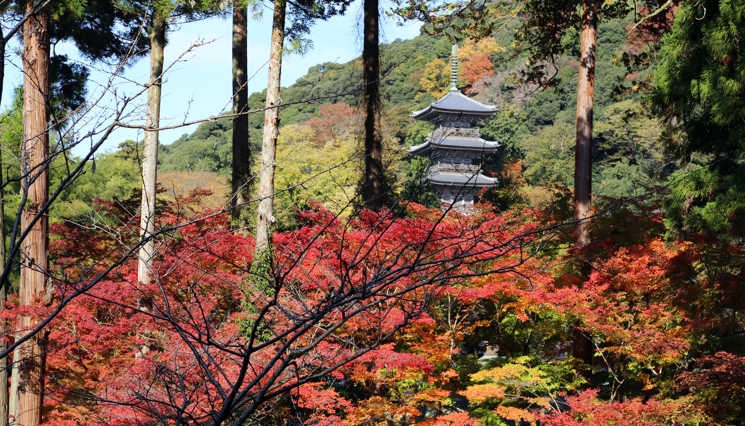 清水寺三重の塔（秋)