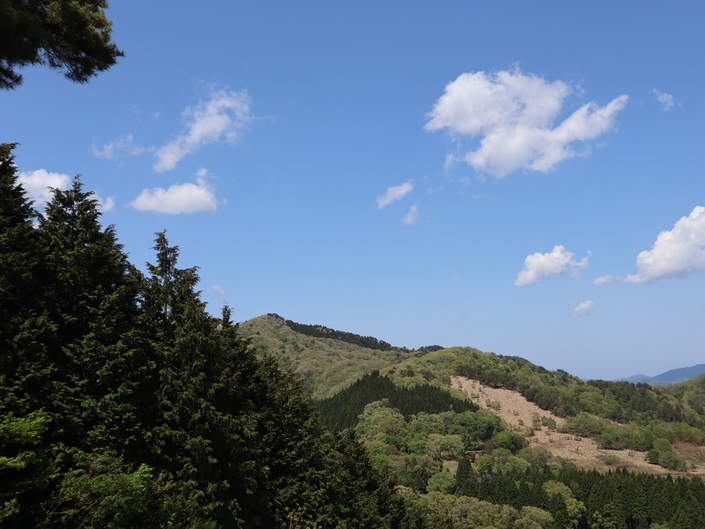 兵庫県北部に位置する神鍋高原は、夏場の避暑地として有名です。