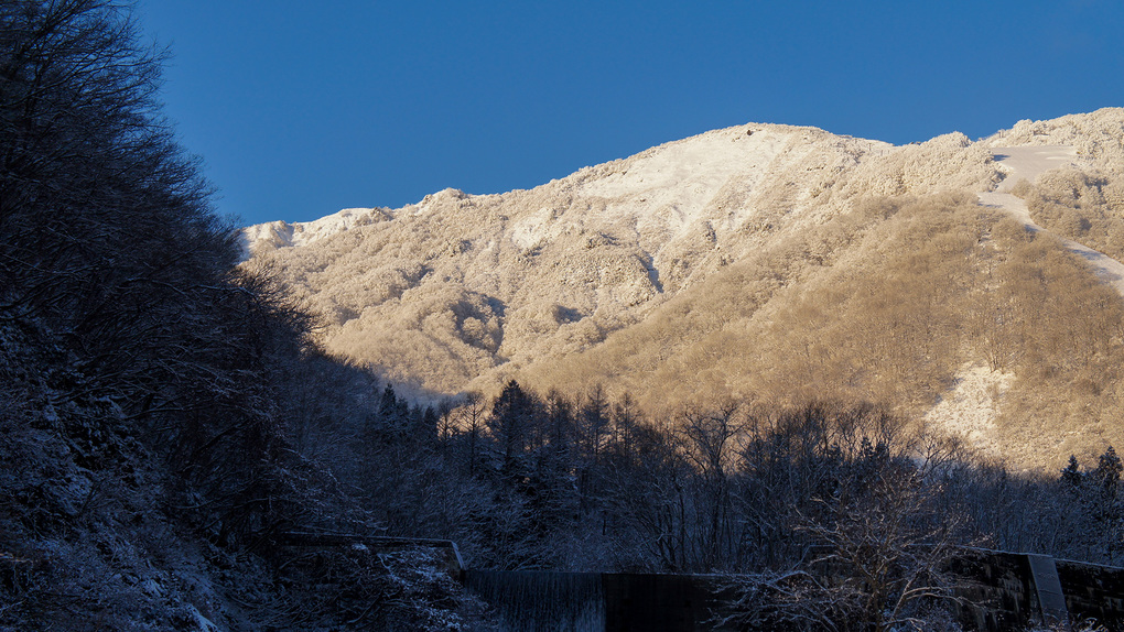 白馬雪景色
