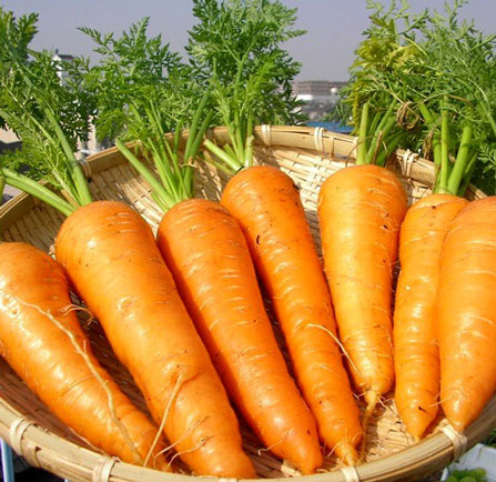 Mishima Plaza Hotel Image 4, Gotemba, Japan