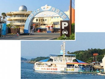 わくわく海中水族館シードーナッツ