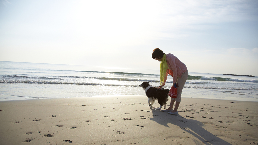 愛犬と共にお一人旅プラン