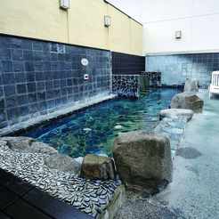 Kokusaiji Tennen Onsen Hana Hotel Fukaya & Spa Image 4, Fukaya, Japan