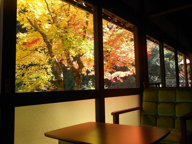 部屋から見た風景