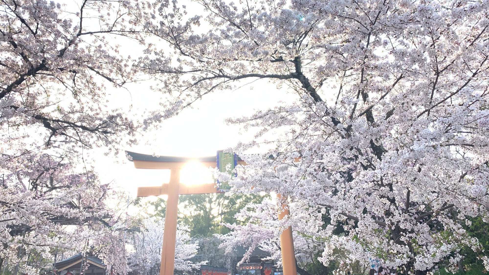 ・桜の名所、平野神社までは徒歩約5分です
