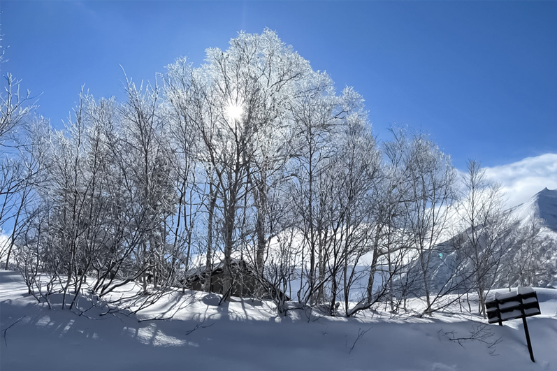 富良野冬風景