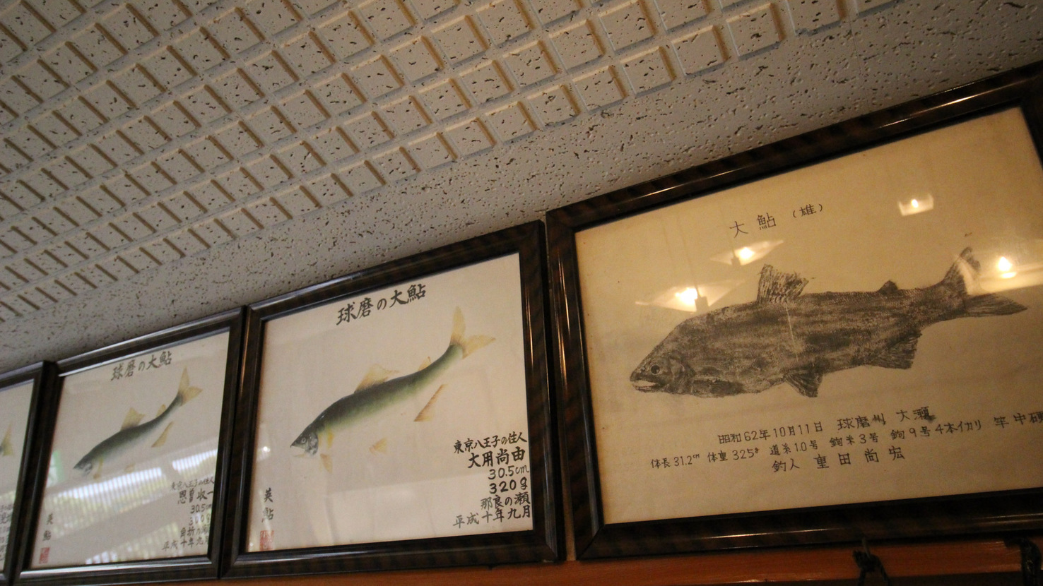 館内にはこれまでの球磨川で釣れた大きな鮎の魚拓が並びます。