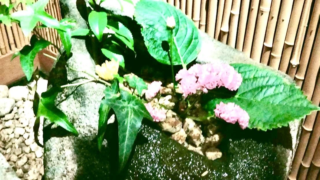 お手洗いお花
