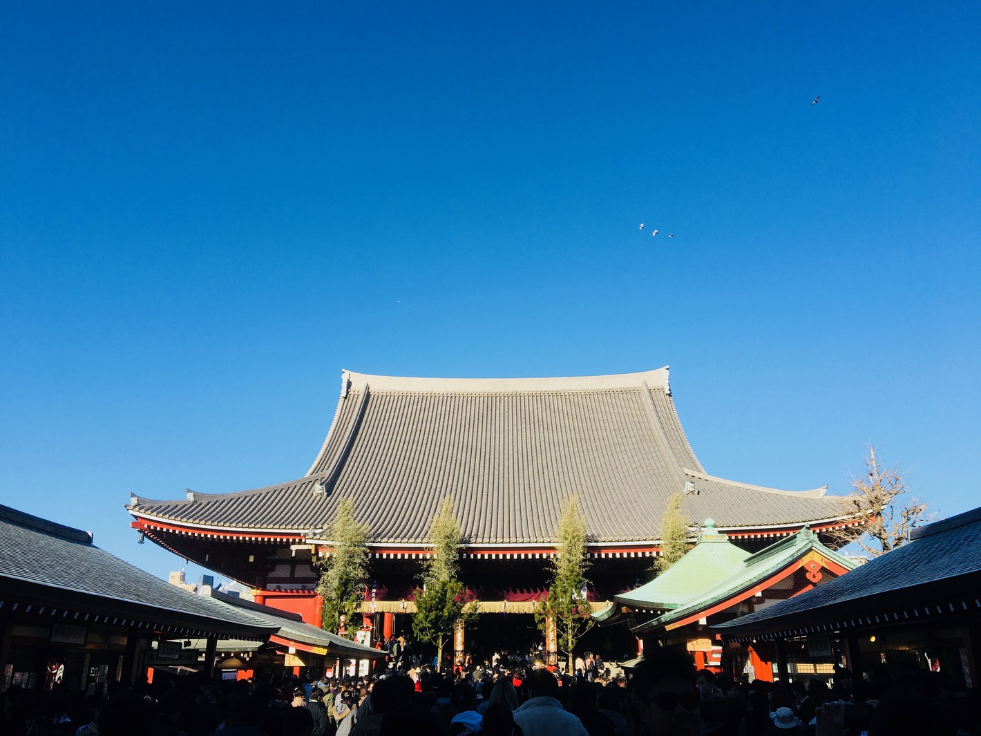 周辺には東京最古の仏教寺院である浅草寺を始め、歴史と伝統の観光スポットがたくさんあります。