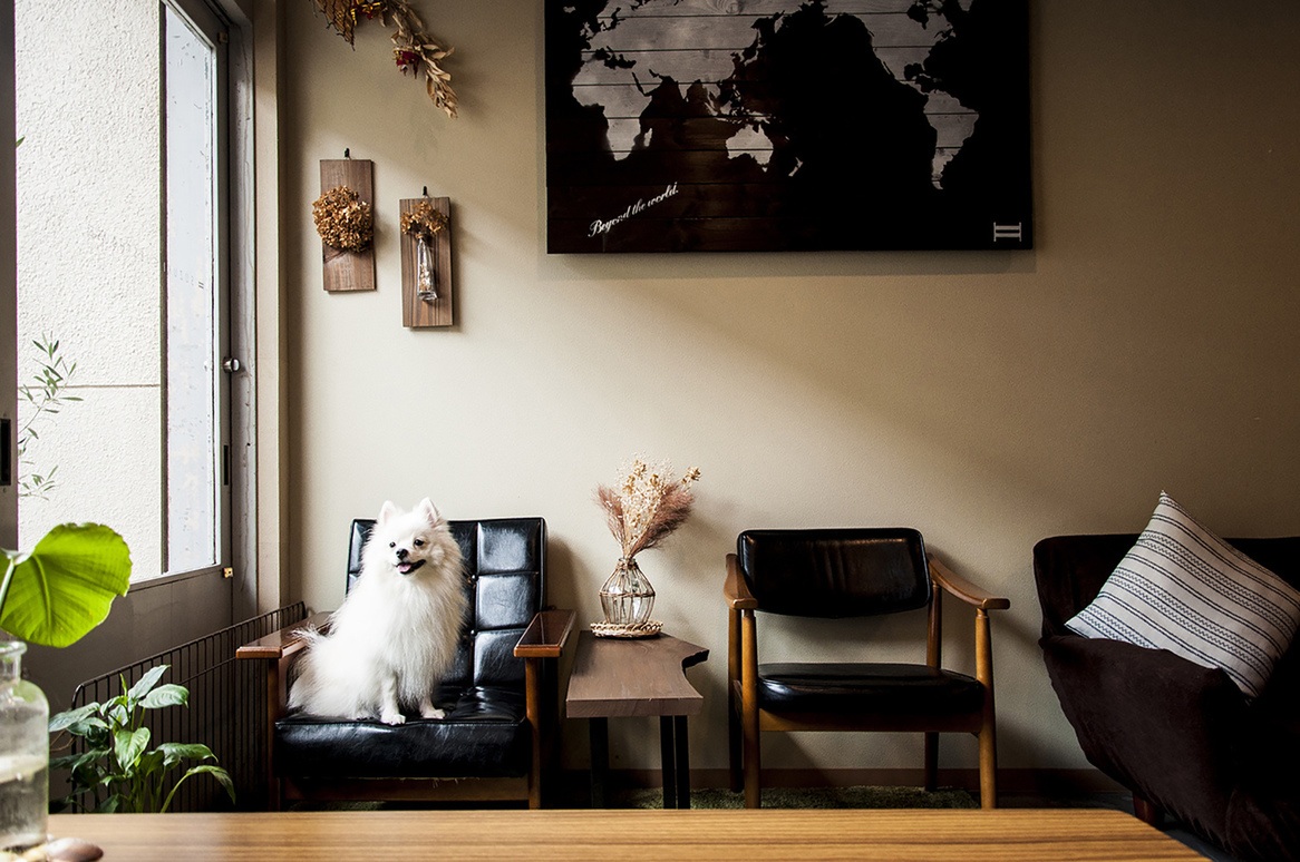 Suzuki Guesthouse Image 5, Kyoto, Japan