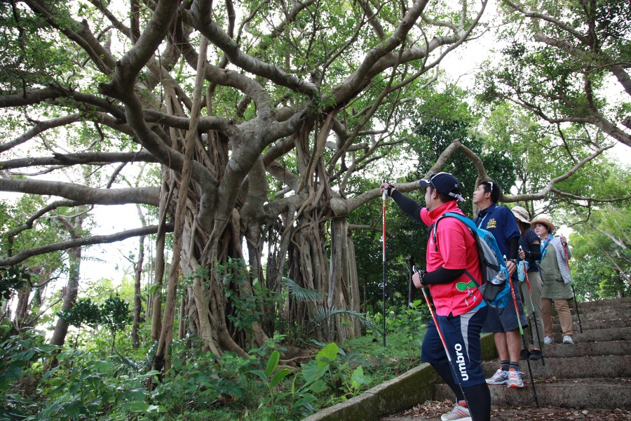 沖縄の自然体験。散策中