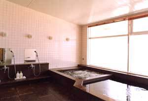 Sea Youth Lion Image 3, Nagaoka, Japan