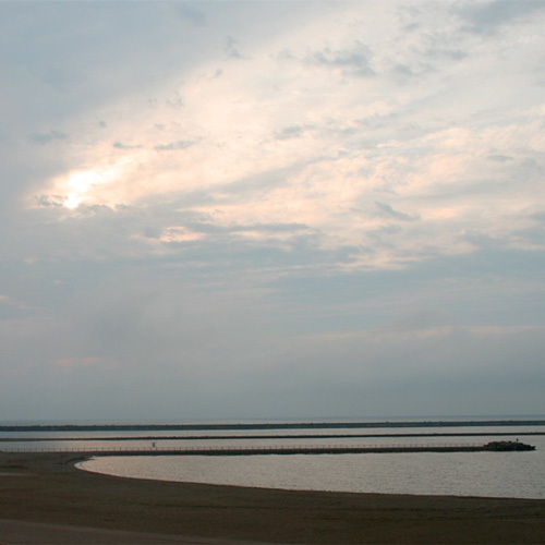 施設周辺の海岸