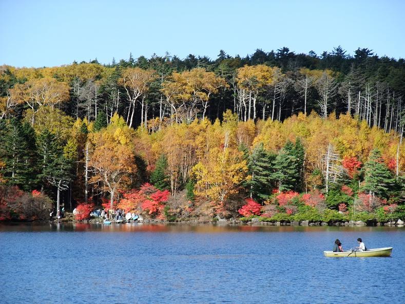 八ヶ岳白駒の池の紅葉