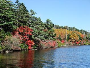 八ヶ岳の秋白駒池