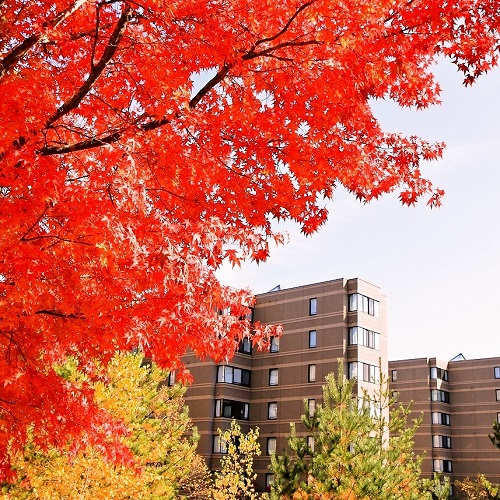 秋ホテルを鮮やかな紅葉に囲まれる美しい時期