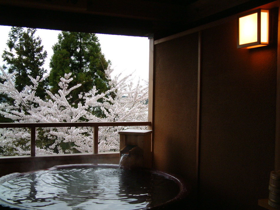 本館二階の貸切露天風呂、目の前には桜の木！