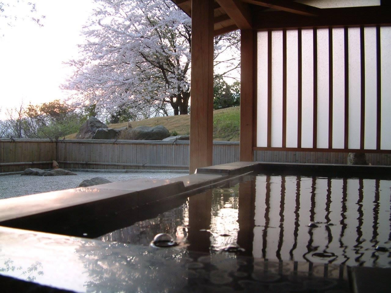 4月中旬、本館地下一階の露天風呂より桜を眺める