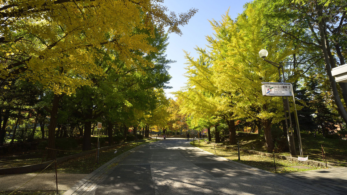 地下鉄南北線「中島公園駅」より徒歩3分