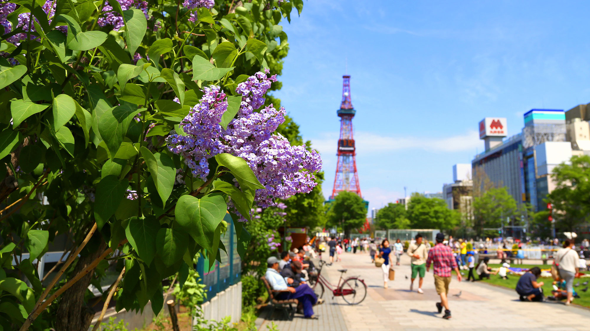 【大通公園】春