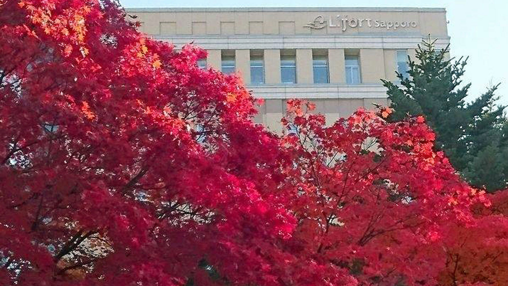 【周辺】中島公園の紅葉