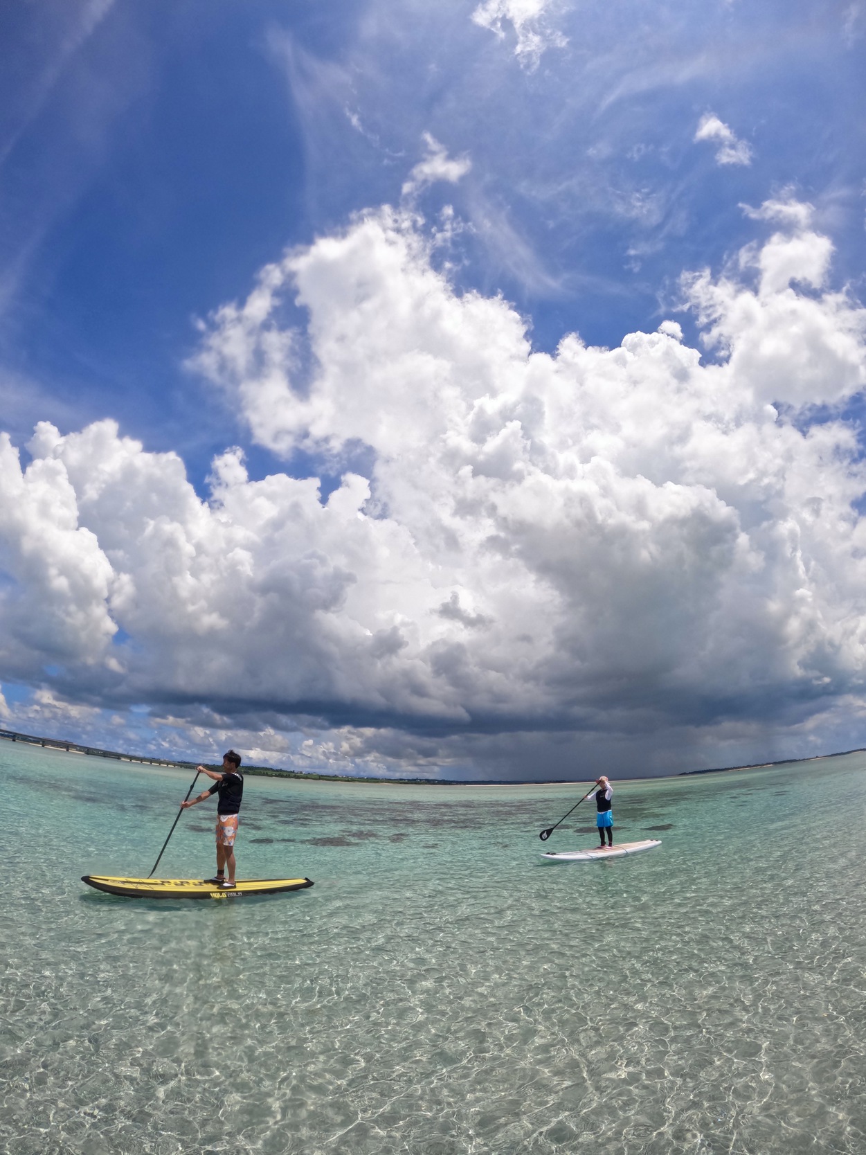 アクティビティ