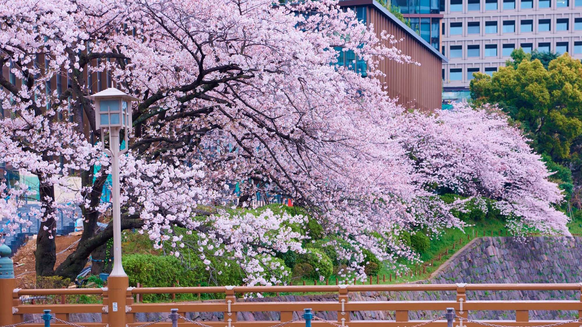 周辺風景