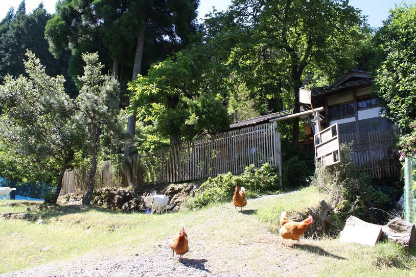 Farm-Inn Torikotoya Ideally located in the Nantan area, Farm-Inn Torikotoya promises a relaxing and wonderful visit. The property offers a wide range of amenities and perks to ensure you have a great time. Free Wi-Fi in 