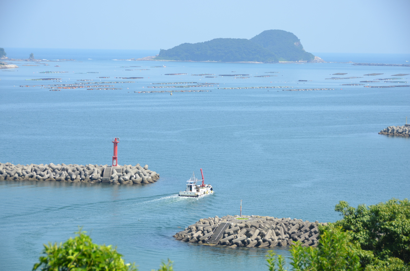 当館裏側からの景色※船が出港。