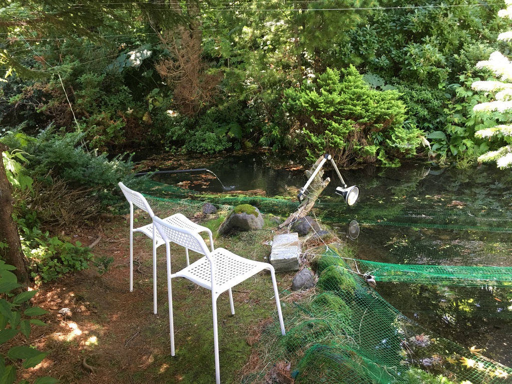 池の周りはオゾンが一杯、涼しい癒しの時間