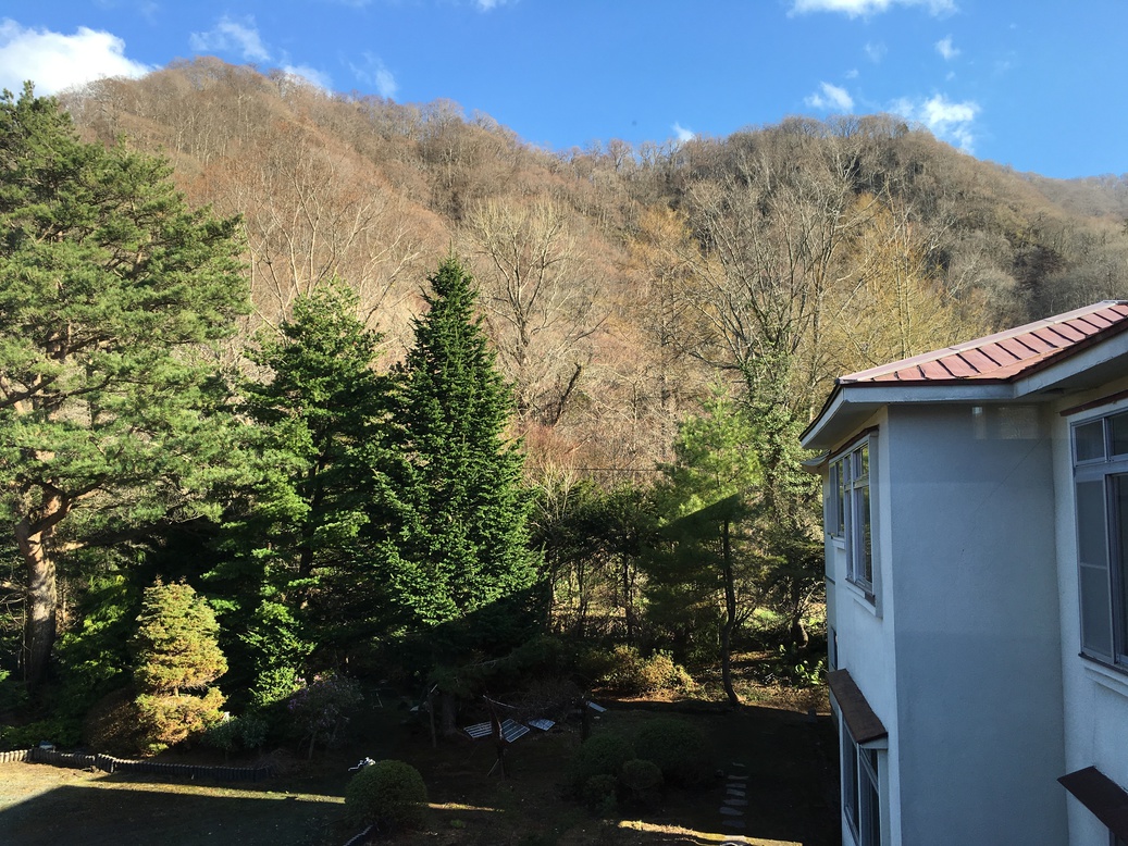 裏の山々は春には山桜が咲き乱れる景観となり、秋には紅葉に染まります。
