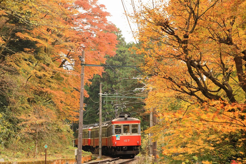 箱根宮ノ下の紅葉