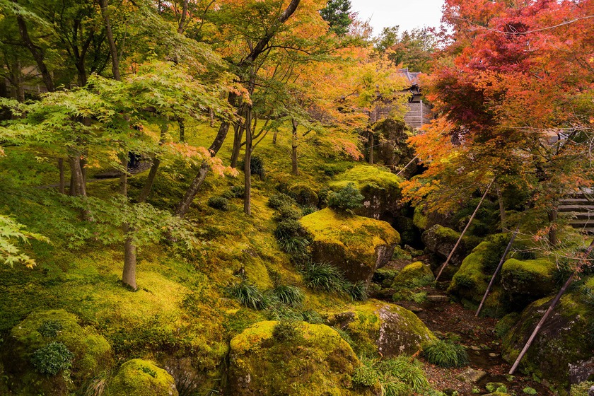 箱根宮ノ下の紅葉