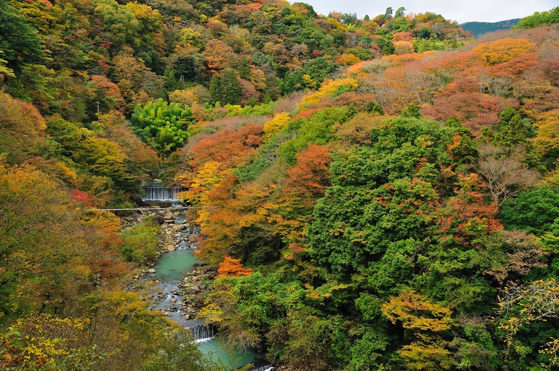 箱根宮ノ下の紅葉