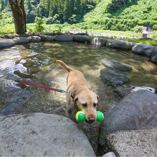 This photo about Nagomiya Seseragi shared on HyHotel.com