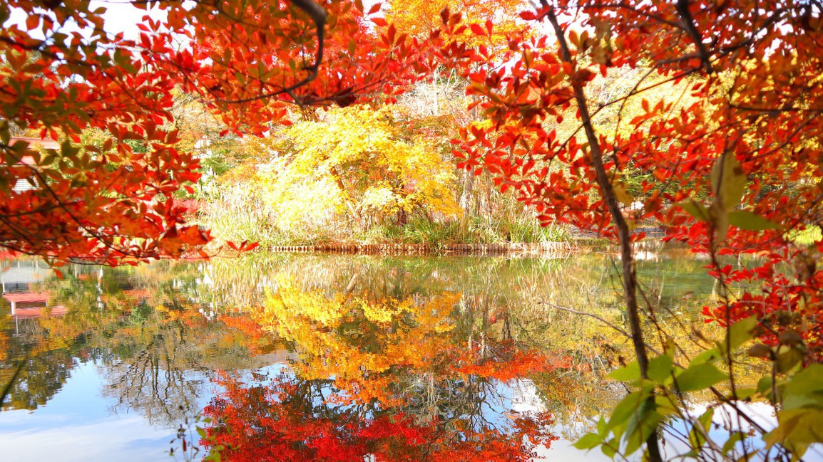 雲場池／当ホテルより車で約4分／秋は湖面を染める美しい秋の朱色と爽やかな空の青が最大の魅力。