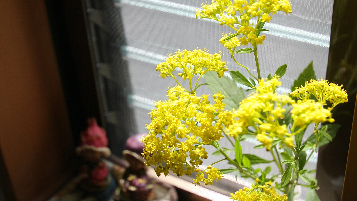 *館内一例／館内には季節のお花を飾ってお客様をお迎えいたします。