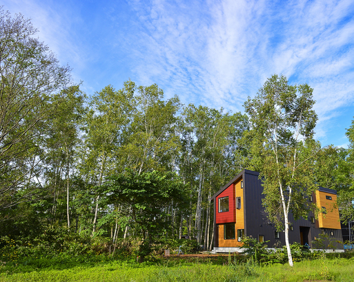 Green Saso Image 2, Niseko, Japan