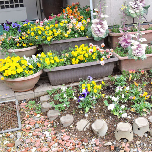 This photo about Minshuku Nogokoro shared on HyHotel.com