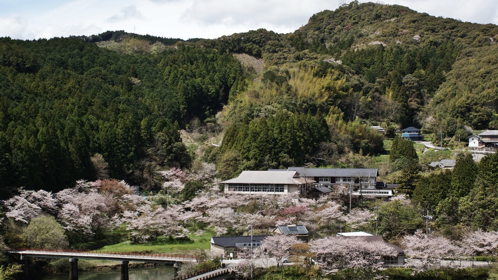 *【全景】春は桜色に染まります♪