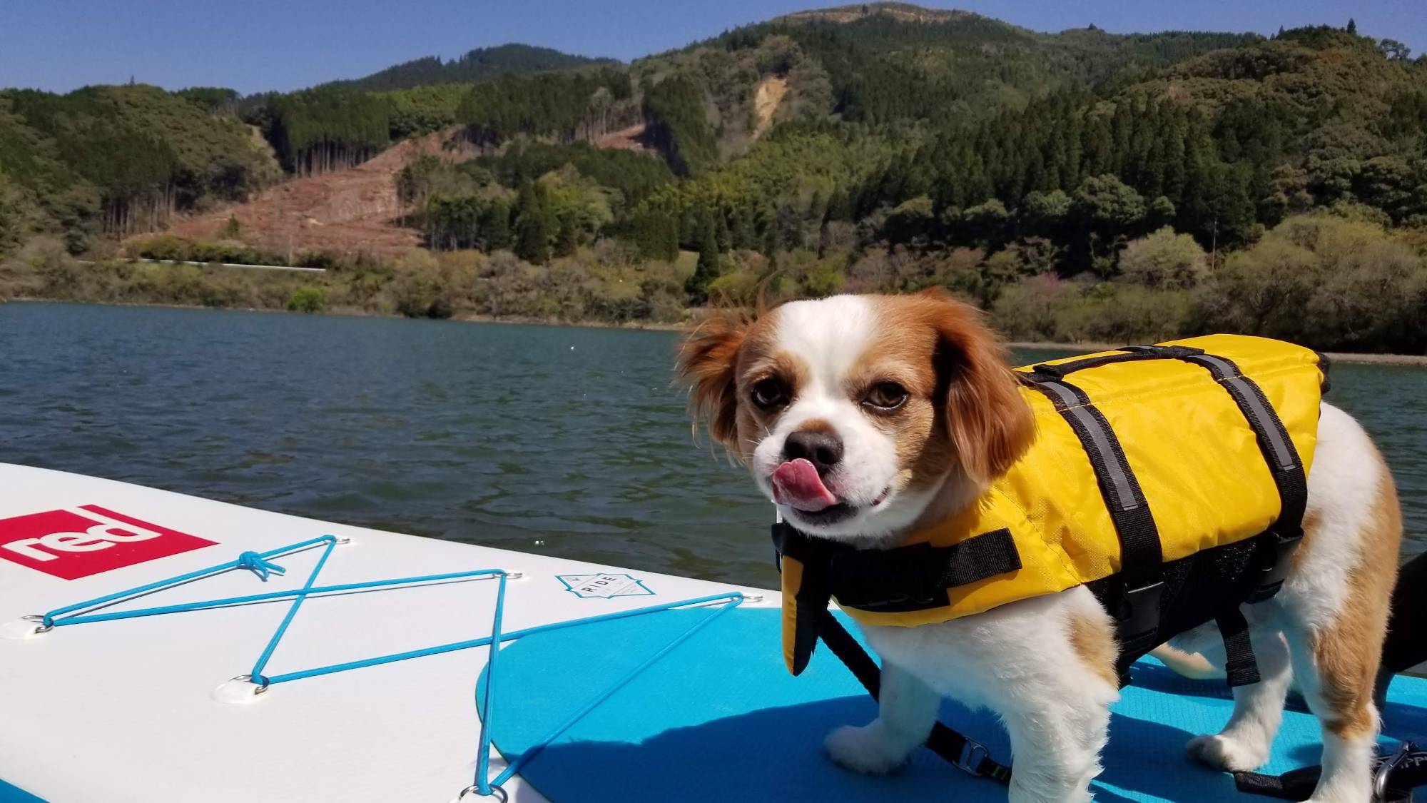 SUP