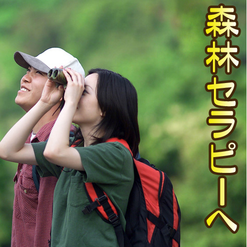 *水上荘の森林セラピーガイドが市房山をご案内