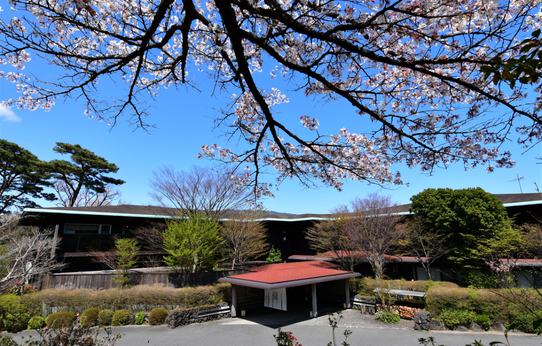 ４月。山桜と玄関