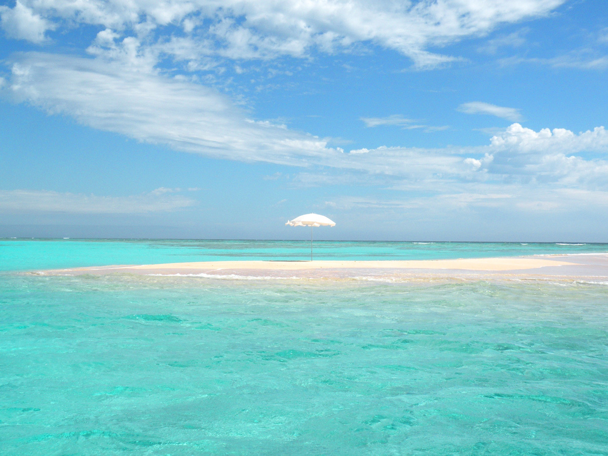 This photo about Takemaruso <Yoronjima> shared on HyHotel.com