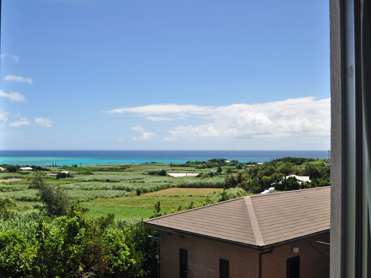 This photo about Takemaruso <Yoronjima> shared on HyHotel.com