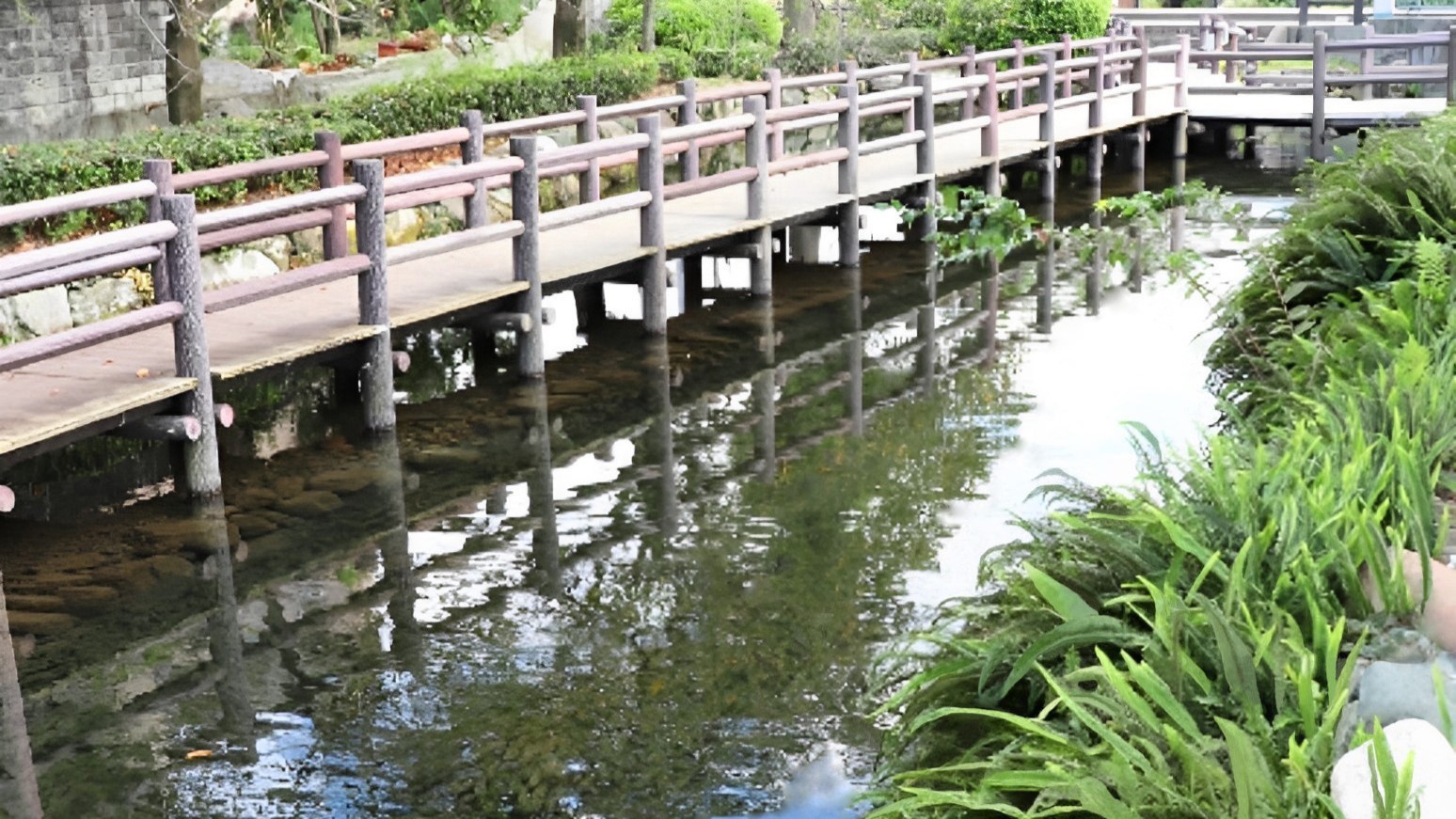 西条市の水場