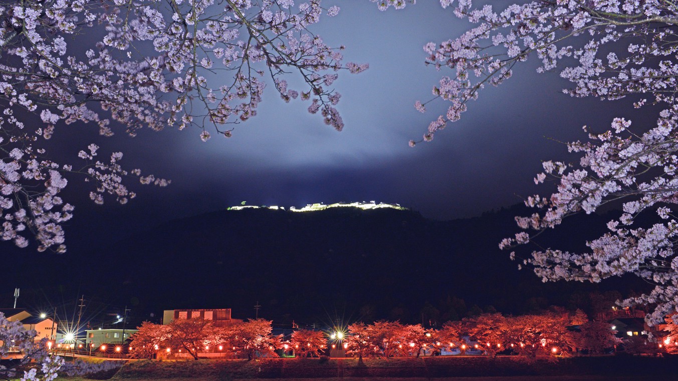 【竹田城跡のライトアップと桜】写真提供：吉田利栄